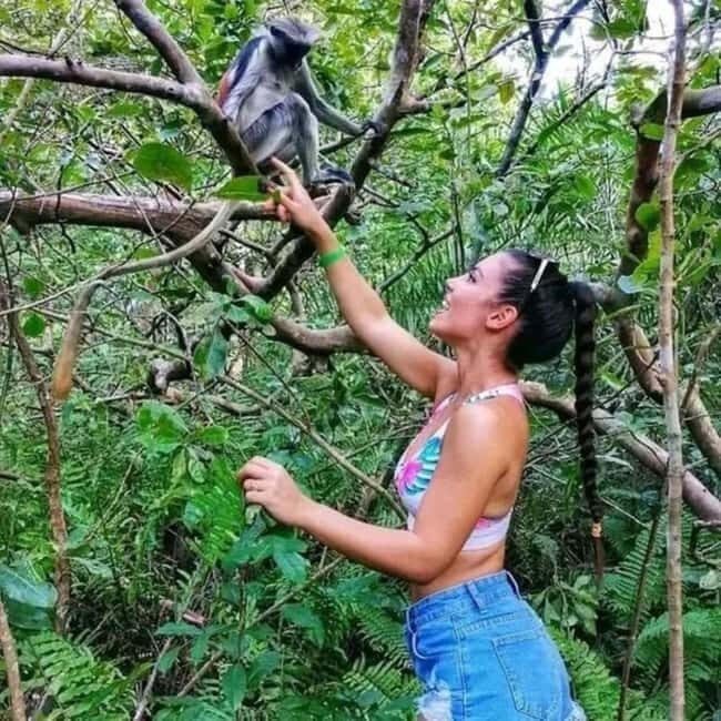 Zanzibar tour experience