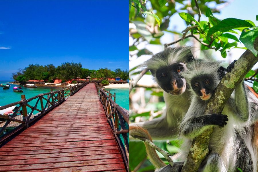 Zanzibar tour experience