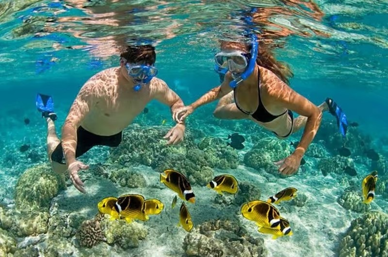 Blue Lagoon Snorkeling