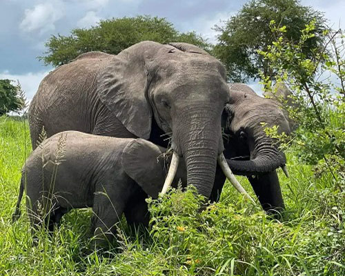 Zanzibar tour experience